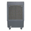03. clin35pro