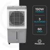 CLIN PRO 60 02